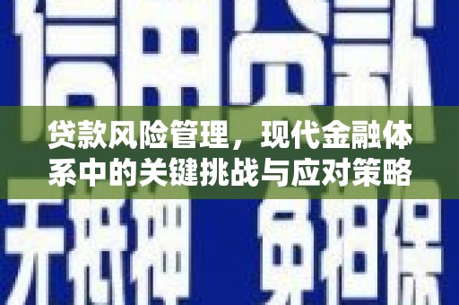 岚皋贷款风险管理，现代金融体系中的关键挑战与应对策略
