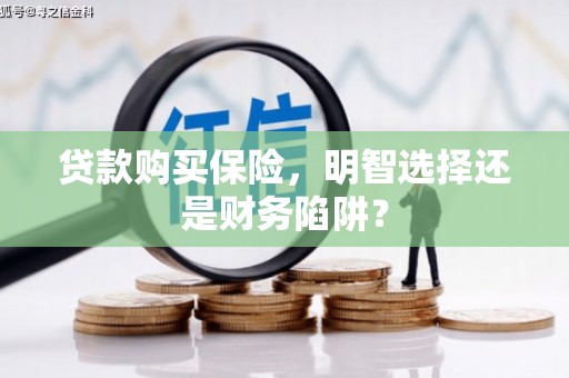 岚皋贷款购买保险，明智选择还是财务陷阱？