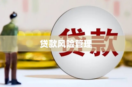 岚皋贷款风险管理