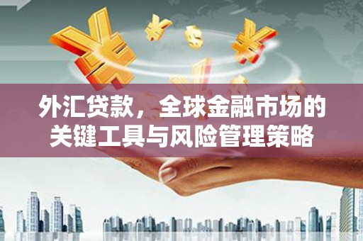 岚皋外汇贷款，全球金融市场的关键工具与风险管理策略