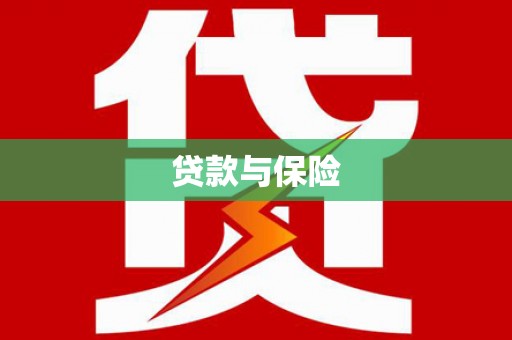 岚皋贷款与保险