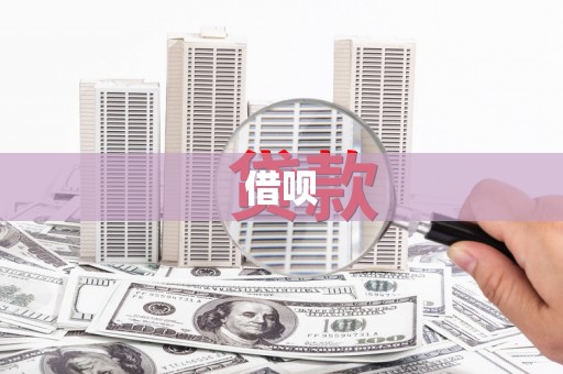 岚皋借呗