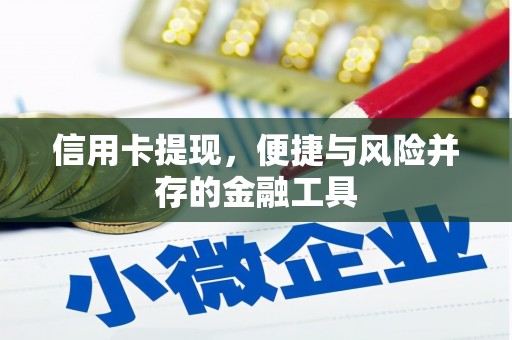 岚皋信用卡提现，便捷与风险并存的金融工具