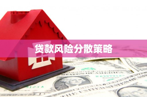 岚皋贷款风险分散策略