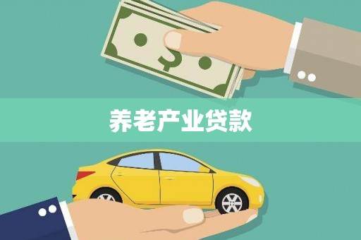 岚皋养老产业贷款