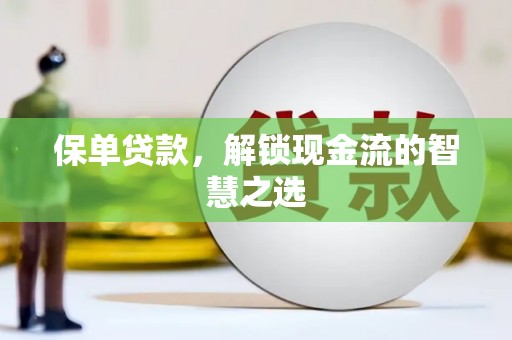 岚皋保单贷款，解锁现金流的智慧之选