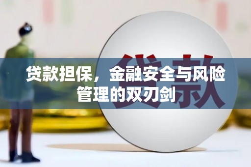 岚皋贷款担保，金融安全与风险管理的双刃剑