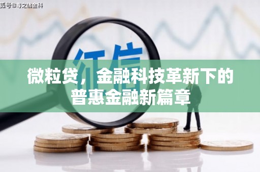 岚皋微粒贷，金融科技革新下的普惠金融新篇章