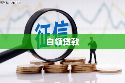 岚皋白领贷款