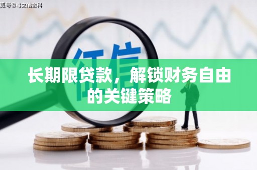 岚皋长期限贷款，解锁财务自由的关键策略