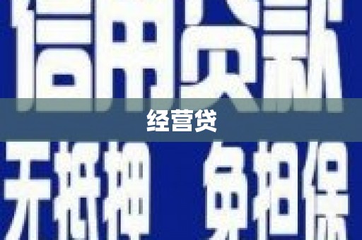 岚皋经营贷