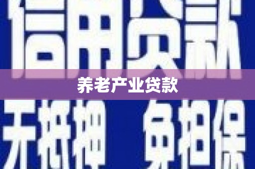 岚皋养老产业贷款