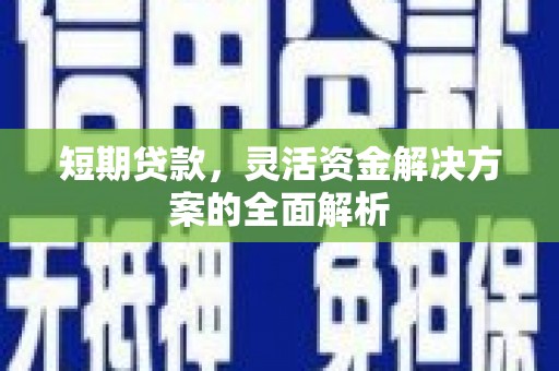 岚皋短期贷款，灵活资金解决方案的全面解析
