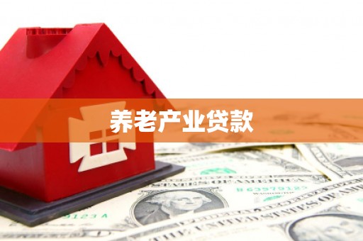 岚皋养老产业贷款