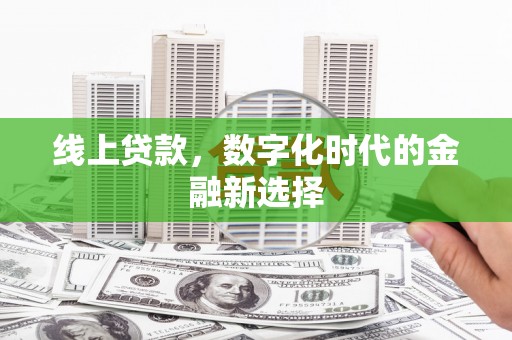 岚皋线上贷款，数字化时代的金融新选择