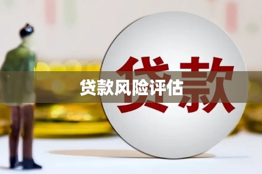 岚皋贷款风险评估