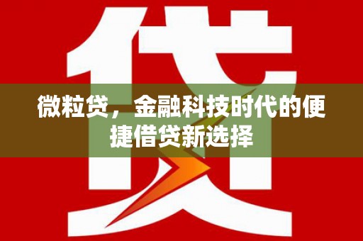 岚皋微粒贷，金融科技时代的便捷借贷新选择