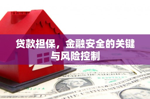 岚皋贷款担保，金融安全的关键与风险控制