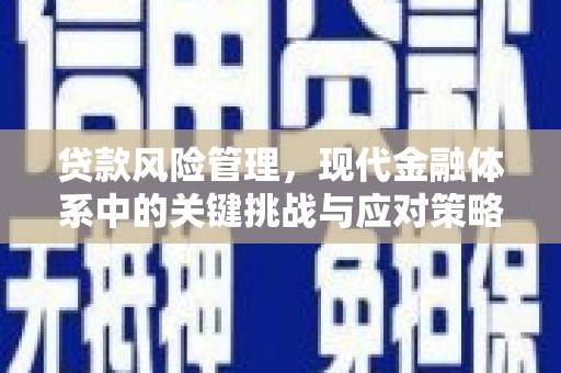 岚皋贷款风险管理，现代金融体系中的关键挑战与应对策略