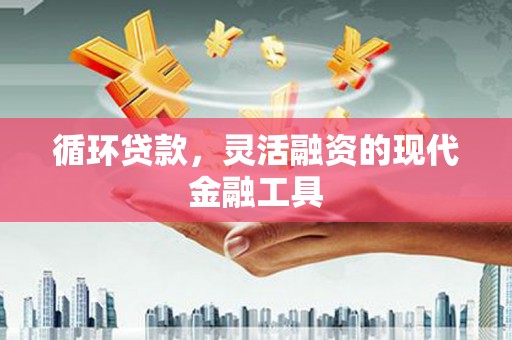 岚皋循环贷款，灵活融资的现代金融工具