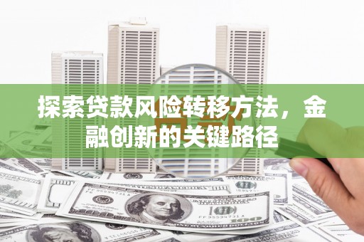 岚皋探索贷款风险转移方法，金融创新的关键路径