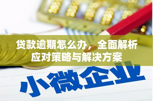 岚皋贷款逾期怎么办，全面解析应对策略与解决方案